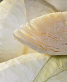 Pointed cabbage and white cabbage