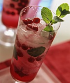 Redcurrant spritzer with mint