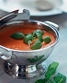 Kalte Tomatensuppe mit Basilikum