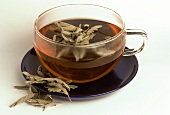 Sage tea and dried leaves (Salvia officinalis)