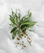 Bunch of herbs: fresh sage, rosemary and thyme