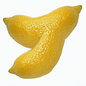 Lemons that have grown together