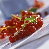 Redcurrants