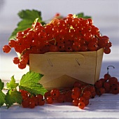 Redcurrants in punnet