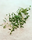 Fresh Thyme