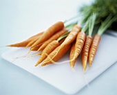 Carrots with Tops