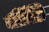 Dried angelica (Angelica archangelica)