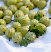 Gooseberries