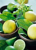 Lemons and limes with leaves