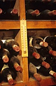 Old wine bottles in Kanonkop wine museum, S. Africa