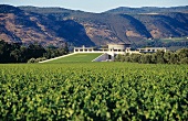 The top winery Opus One in Napa Valley, California