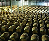 Grossräumige Lagerhalle für Weinfässer, Rosemount, Australien