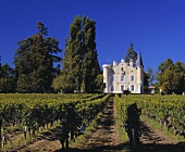 Château Haut-Bergey mit Blick auf seinen Weinberg, Bordeaux