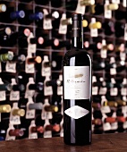 Flasche 1996er L'Ermita von Alvaro Palacios im Weinkeller