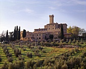 Castello Banfi nahe Sant'Angelo Scalo, Toskana, Italien