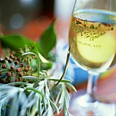 White Beaujolais in glass with writing, herbs beside it