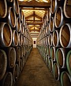 Weinkeller der Bodega CVNE, Haro, Rioja, Spanien