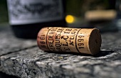 'Marqués de Riscal' wine cork, Rioja, Spain