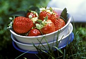 Strawberries in bowls on grass