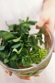 Fresh watercress (for garnishes) in bowl