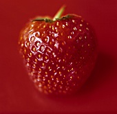 Strawberries on red background
