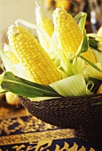 Fresh corncobs in a basket