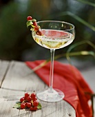 Champagne in champagne goblet with berries on cocktail stick