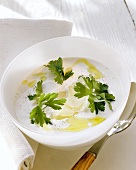 Quark with Parmesan, parsley and oil