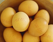 Several organic eggs