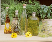 Herb oils and herb vinegar on a window-sill