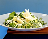 Spargel-Reis-Salat