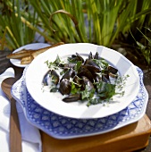 Mussels in herb and white wine sauce
