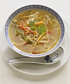 Spicy Chinese soup