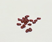 Getrocknete Cranberries