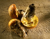 Three Caesar's mushrooms (Amanita caesarea)
