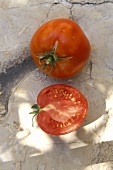 Tomato, Matador variety