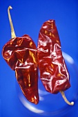 Two dried red chili peppers