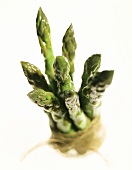 Bundle of fresh green asparagus