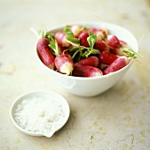 Radishes in a dish and a bowl of coarse sea salt