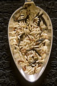 Uncooked wild rice mixture on silver spoon