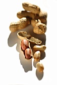 Peanuts, unopened and opened, on white background