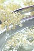 Elderflowers as decoration on edge of a glass plate