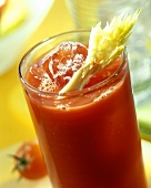 Bloody Mary, or tomato drink with ice cubes, stick of celery