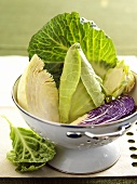Various types of cabbage in a strainer