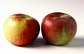 Zwei Äpfel der Sorte Ahra