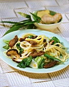 Asian noodles with beef and vegetables (Canton, China)