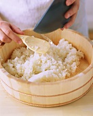 Preparing sushi rice
