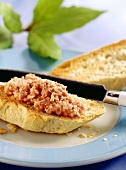 Slice of bread with pork rillettes