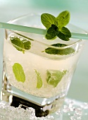 Mojito in glass