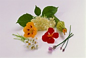 Various edible flowers